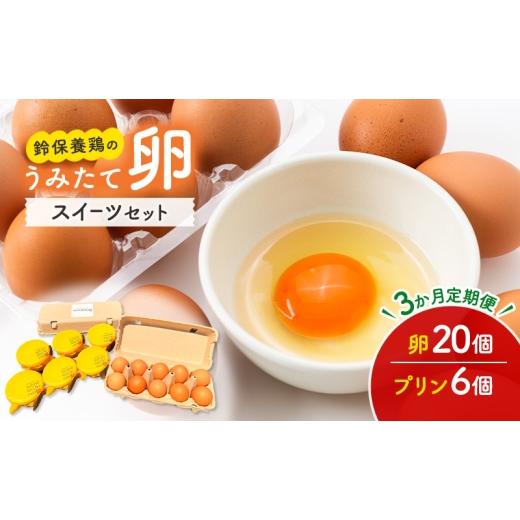 ふるさと納税 卵(鶏、烏骨鶏等) 神奈川県 綾瀬市 3か月定期便 うみたて 卵 スイーツ セット 鈴保養鶏 たまご 20個 プリン 6個玉子 詰め合わせ 鶏卵 こだわ…
