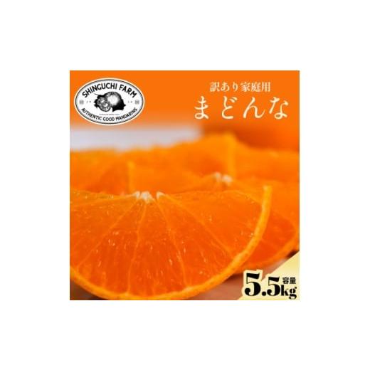 ふるさと納税 みかん・柑橘類 愛媛県 八幡浜市 訳ありだけど美味しさそのまま まどんな 5.5kg 訳あり 紅まどんなと同品種 F70-141 1688017