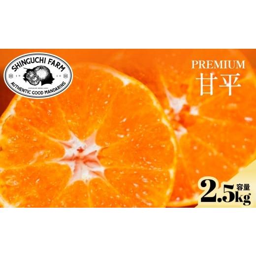 ふるさと納税 みかん・柑橘類 愛媛県 八幡浜市 太陽の恵みがギュッと凝縮 甘平2.5kg 弾ける甘さとシャキッと食感 C70-142 1688641