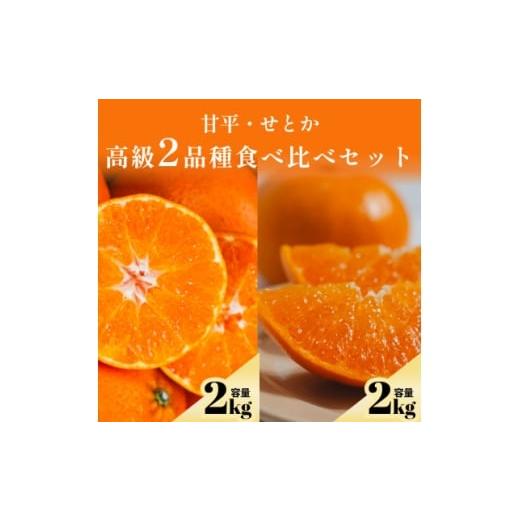 ふるさと納税 みかん・柑橘類 愛媛県 八幡浜市 プレミアム柑橘 贅沢食べ比べセット 甘平2kg+せとか2kg 高級2品種 F70-145 1689222