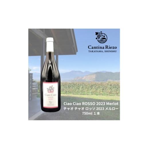 ふるさと納税 ワイン 赤ワイン 長野県 高山村 ワイン農家のワイン チャオ チャオ ロッソ 2023 メルロー1本 1031669