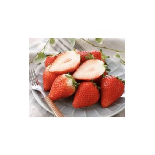 ふるさと納税 いちご 栃木県 小山市 天空を映す甘美な果実 小山産スカイベリー 2パック 1678746