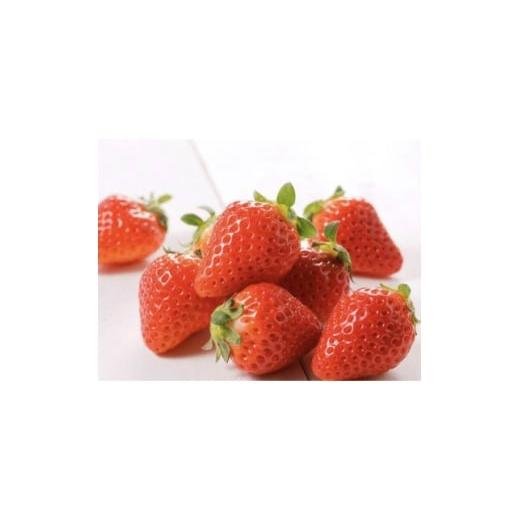 ふるさと納税 いちご 栃木県 小山市 小山の恵み とちおとめ 2パック 1678748