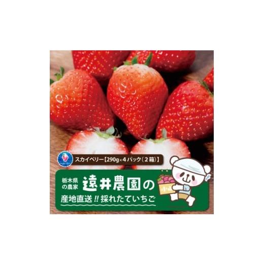 ふるさと納税 いちご 栃木県 小山市 発送月固定定期便 遠井農園のいちご定期便(スカイベリー)全4回 4074991
