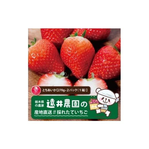 ふるさと納税 いちご 栃木県 小山市 発送月固定定期便 遠井農園のいちご定期便(とちあいか)全4回 4075088