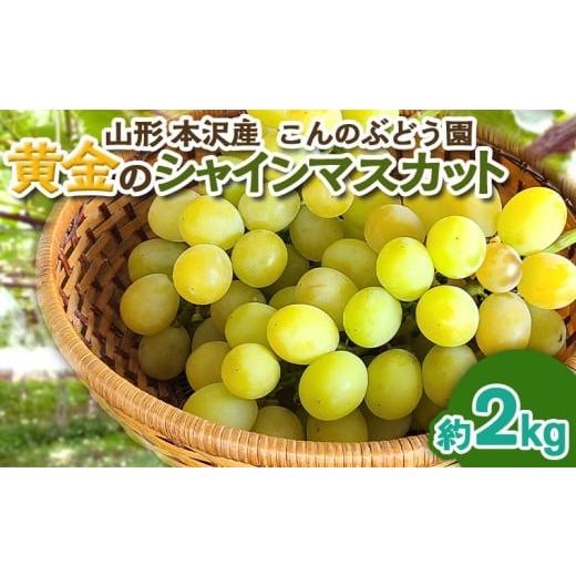 ふるさと納税 ぶどう マスカット 山形県 山形市 「黄金のシャインマスカット」2kg 山形市 本沢 こんのぶどう園 令和8年産先行予約 FS25-103 くだもの 果物 フ…
