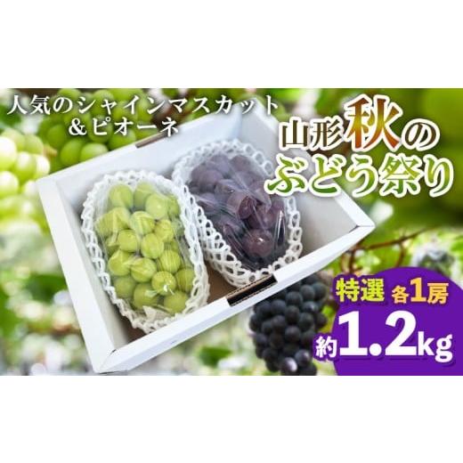 ふるさと納税 ぶどう マスカット 山形県 山形市 山形秋のぶどう祭り シャインマスカット・ピオーネ 特選 2房 令和8年産先行予約 FS25-108 くだもの 果物 フル…