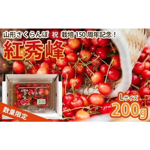 ふるさと納税 果物類 ぶどう 山形県 山形市 山形さくらんぼ (祝)栽培150周年記念 紅秀峰 200g L玉 数量限定 令和8年産先行予約 FS25-109 くだもの 果物 フルー…