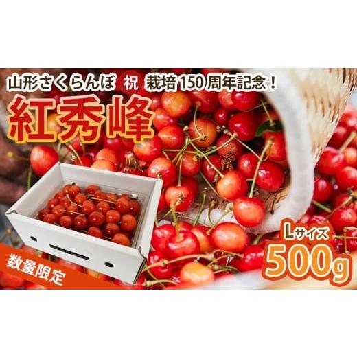 ふるさと納税 果物類 さくらんぼ 山形県 山形市 山形さくらんぼ (祝)栽培150周年記念 紅秀峰 500g L玉 数量限定 令和8年産先行予約 FS25-111 くだもの 果物 フ…