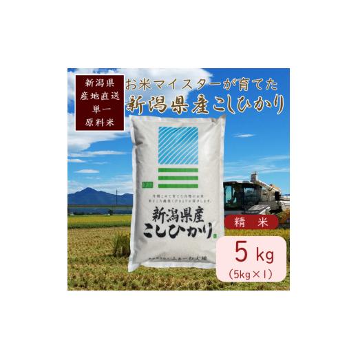 ふるさと納税 米 コシヒカリ 新潟県 上越市 令和7年産 お米マイスターが育てた上越産コシヒカリ5kg (5kg×1)白米 精米