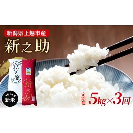 ふるさと納税 米 新潟県 上越市 (定期便)新米 令和7年 新潟県 上越市産 新之助 5kg×3回配送 ご飯 おにぎり 送料無料
