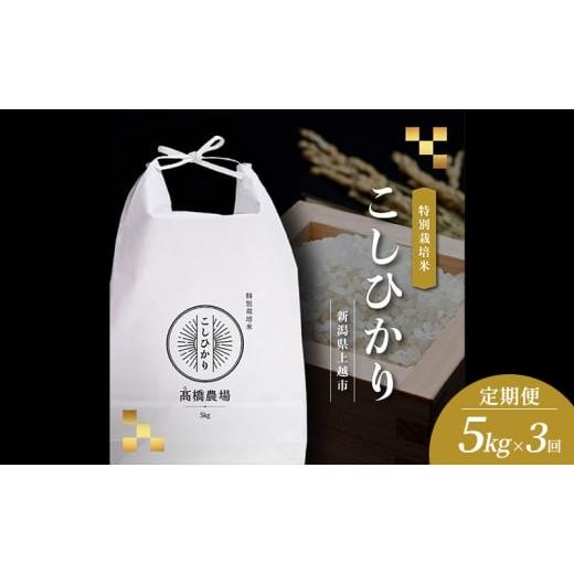 ふるさと納税 米 コシヒカリ 新潟県 上越市 (定期便)新米 令和7年 新潟県 上越市産 コシヒカリ 5kg×3回配送 ご飯 おにぎり 送料無料