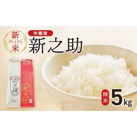 ふるさと納税 米 新潟県 上越市 新米 令和7年 新潟県 上越市産 新之助 5kg やまざきふぁーむ 送料無料 精米 5キロ お米 コメ 白米 上越市 中郷区 中郷産