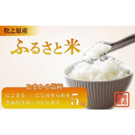 ふるさと納税 米 にこまる 静岡県 牧之原市 お米 5kg 品種 おまかせ にこまる にじのきらめき きぬむすめ コシヒカリ 米 白米 おこめ こめ 精米 ご飯 ごはん …