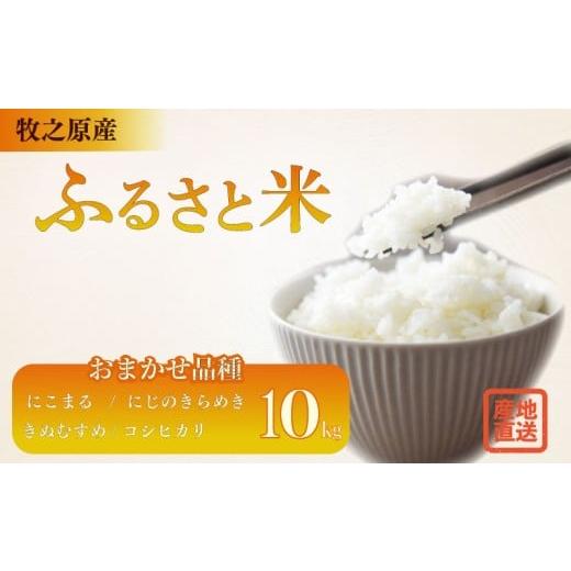 ふるさと納税 米 きぬむすめ 静岡県 牧之原市 お米 10kg 品種 おまかせ にこまる にじのきらめき きぬむすめ コシヒカリ お米 米 白米 おこめ こめ 精米 ご飯 …
