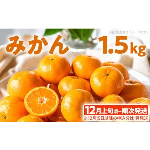 ふるさと納税 果物類 みかん 福岡県 古賀市 期間限定 みかん フルーツ 果物 くだもの 1.5kg 柑橘 甘い 濃厚 ジューシー 産地直送 デザート おやつ オレンジ 福…