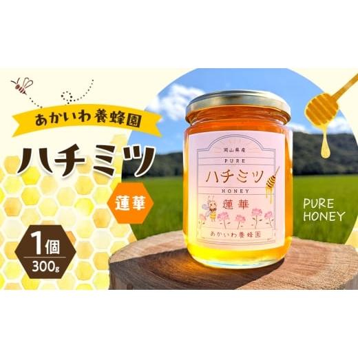 ふるさと納税 加工品等 はちみつ 岡山県 赤磐市 はちみつ 蓮華蜂蜜 1個300g ハチミツ 蜂蜜 れんげ 天然 非加熱 岡山 赤磐市