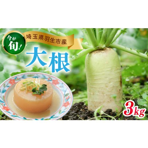 ふるさと納税 野菜類 大根 埼玉県 羽生市 大根 3kg 数量限定 期間限定 野菜 だいこん 煮物 鍋 漬物 葉 根菜 大根おろし サラダ daikon yasai 国産 ベジタブル …