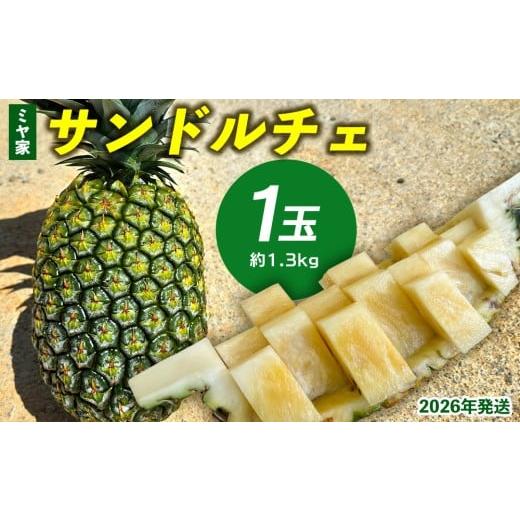 ふるさと納税 果物類 沖縄県 東村 ミヤ家 サンドルチェ 1玉(約1.3kg) 2026年発送 沖縄県産 東村 パイナップル ジューシー 希少 高級フルーツ 南国フルーツ…