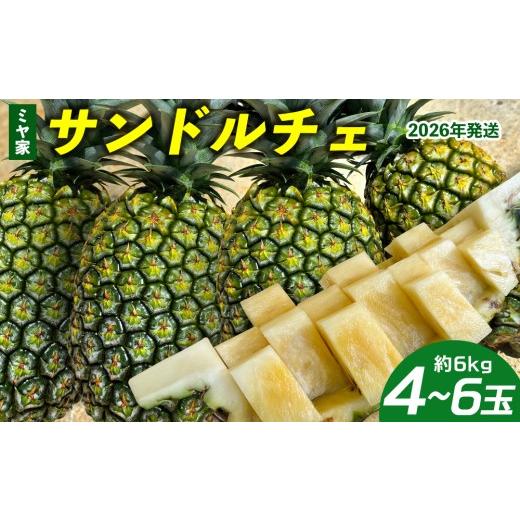 ふるさと納税 果物類 沖縄県 東村 ミヤ家 サンドルチェ 4〜6玉(約6kg) 2026年発送 沖縄県産 東村 パイナップル ジューシー 希少 高級フルーツ 南国フルー…