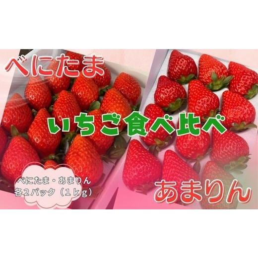 ふるさと納税 いちご 埼玉県 川島町 先行受付 いちご食べ比べ 人気 あまりん 新品種 べにたま 2品種食べ比べ ストロベリーハント (各2パック)