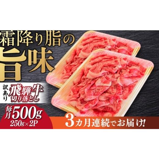 ふるさと納税 牛肉 カレー・シチュー 岐阜県 岐阜市 3回定期便 飛騨牛 切り落とし 250g×2パック 計500g 等級 部位お任せ すき焼き 鍋 スライス 牛肉 岐阜市 …