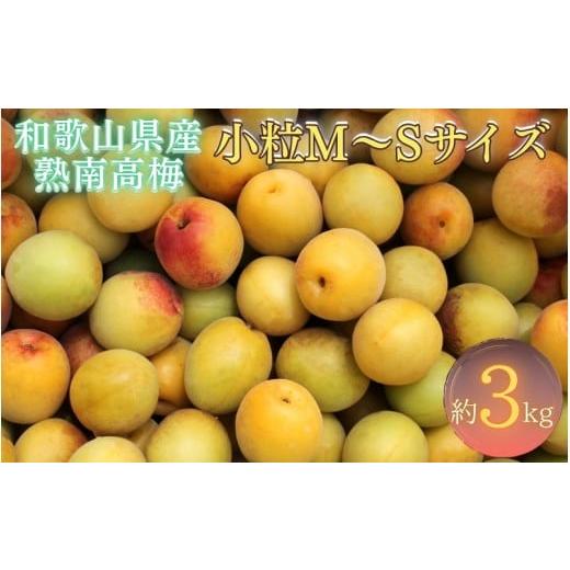 ふるさと納税 果物類 和歌山県 串本町 梅干・梅酒用 紀州和歌山県産 熟南高梅 生うめ 優品 約3kg (S、Mサイズおまかせ)+3%増量 2026年6月下旬〜7月上旬発送…