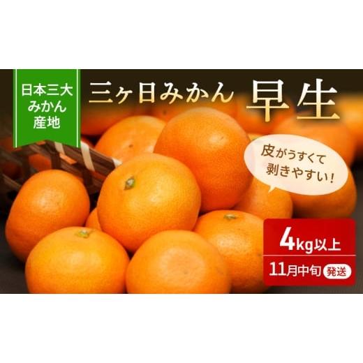 ふるさと納税 果物類 みかん 静岡県 浜松市 2025年11月中旬より順次発送 三ヶ日みかん 早生 4kg以上 みかん ミカン 蜜柑 早生みかん 三ヶ日 果物 くだもの フ…