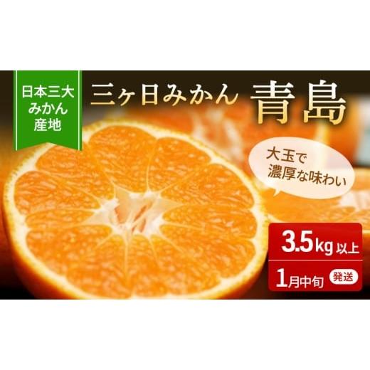 ふるさと納税 果物類 みかん 静岡県 浜松市 2026年1月中旬頃より順次発送 三ヶ日みかん 青島 3.5kg以上 みかん ミカン 蜜柑 青島みかん 三ヶ日 果物 くだもの…