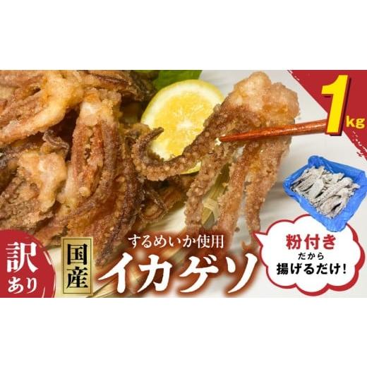 ふるさと納税 イカ 宮崎県 延岡市 訳あり 国産するめいか使用 粉付き唐揚げ用イカゲソ1kg