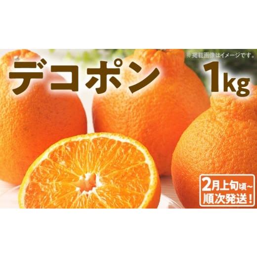 ふるさと納税 みかん・柑橘類 デコポン 福岡県 古賀市 期間限定 デコポン フルーツ 果物 くだもの 1kg 柑橘 甘い 濃厚 ジューシー 産地直送 デザート おやつ …