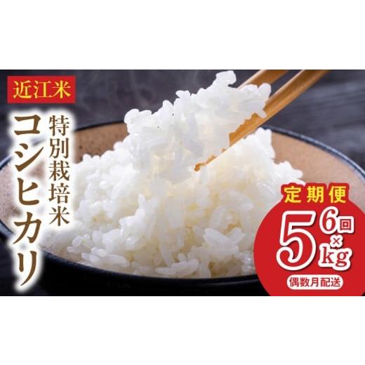 ふるさと納税 米 コシヒカリ 滋賀県 守山市 令和8年度産 先行予約 近江米『コシヒカリ』 特別栽培米 5キロ×6回 偶数月お届け定期便(鮮度保持袋)