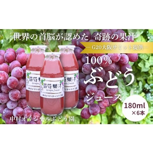 ふるさと納税 果汁飲料 ぶどう 大阪府 河内長野市 100%ぶどうジュース G20大阪サミット提供 中村オリジナルぶどう園 無添加 無加水 高糖度20度超 世界が認め…
