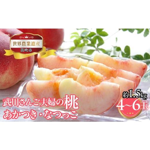 ふるさと納税 もも 山梨県 笛吹市 2026年発送 先行予約 山梨県笛吹市産 武川さんご夫婦の桃(あかつき・なつっこ) 約1.5kg 4玉〜6玉 223-023-26y