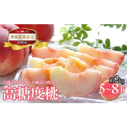 ふるさと納税 もも 山梨県 笛吹市 2026年発送 先行予約 山梨県笛吹市産 高糖度桃(白鳳系12度以上・白桃系13度以上) 約2kg 5玉〜8玉 223-024-26y