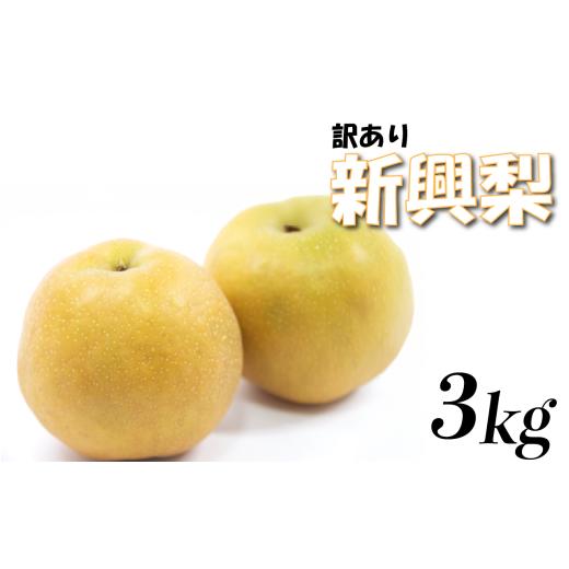 ふるさと納税 梨 鳥取県 岩美町 (訳あり)中野農園 梨 "新興梨" 3kg箱|鳥取 岩美 梨 なし ナシ 赤梨 果物 フルーツ 41049
