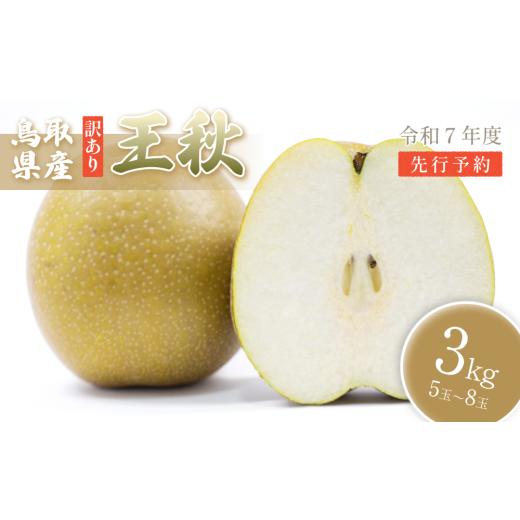 ふるさと納税 梨 鳥取県 岩美町 (訳あり)中野農園 梨 "王秋梨" 3kg箱|鳥取 岩美 梨 なし ナシ 赤梨 果物 フルーツ 41050