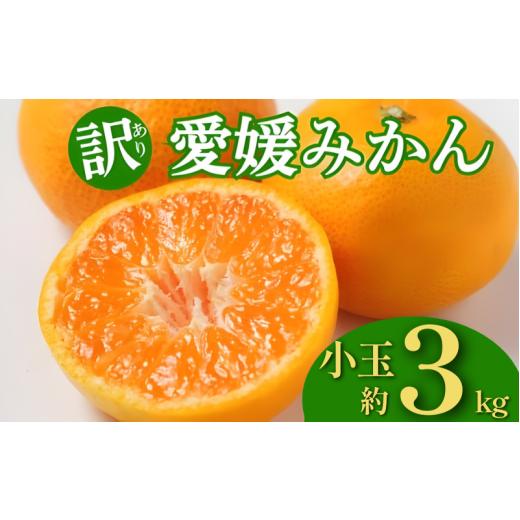 ふるさと納税 果物類 みかん 愛媛県 愛南町 訳あり 愛媛みかん 小玉 約3kg 8000円 みかん 蜜柑 温州みかん オレンジ 果物 フルーツ 柑橘 こたつ みかん 人気 …