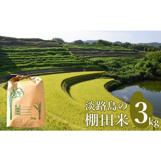 ふるさと納税 米 兵庫県 淡路市 淡路島の棚田米 3kg 精米 白米 3kg