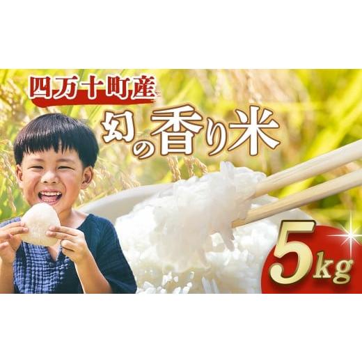 ふるさと納税 米 高知県 四万十町 四万十育ち 冷めても香る幻の米『香り米』 5kg 米 こめ コメ 農家 おむすび お米 おこめ 十和錦 お弁当 贈答品 香り米/Fn…
