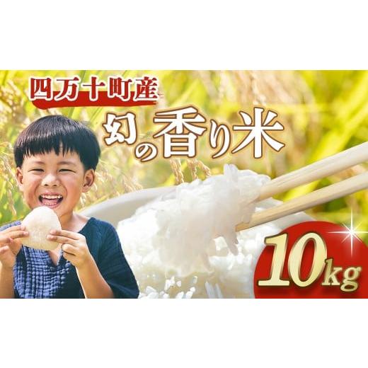 ふるさと納税 米 高知県 四万十町 四万十育ち 冷めても香る幻の米『香り米』 10kg 米 こめ コメ 農家 おむすび お米 おこめ 十和錦 お弁当 贈答品 香り米/F…