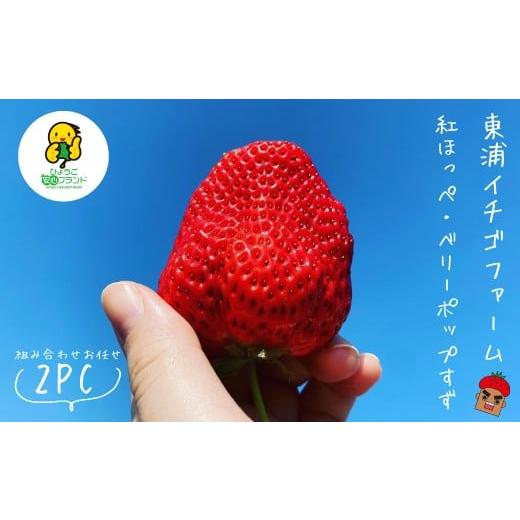 ふるさと納税 いちご 兵庫県 淡路市 淡路島産いちごセット(紅ほっぺ / ベリーポップすず) 12月中旬〜1月発送・お届け日指定不可