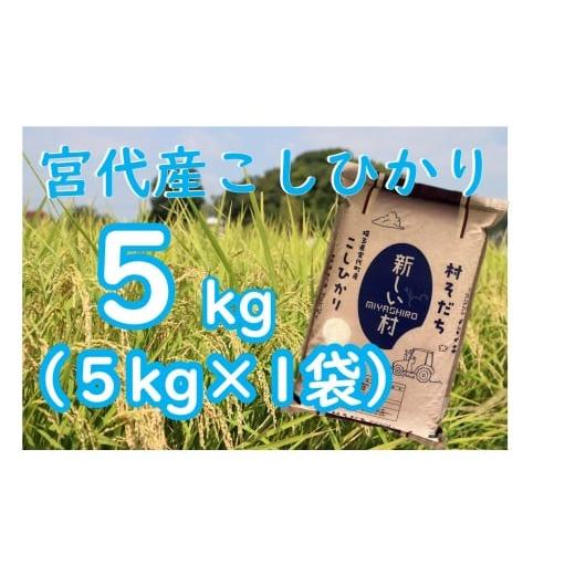 ふるさと納税 米 コシヒカリ 埼玉県 宮代町 宮代町 新しい村で育てた コシヒカリ「村そだち」令和7年産新米 5kg