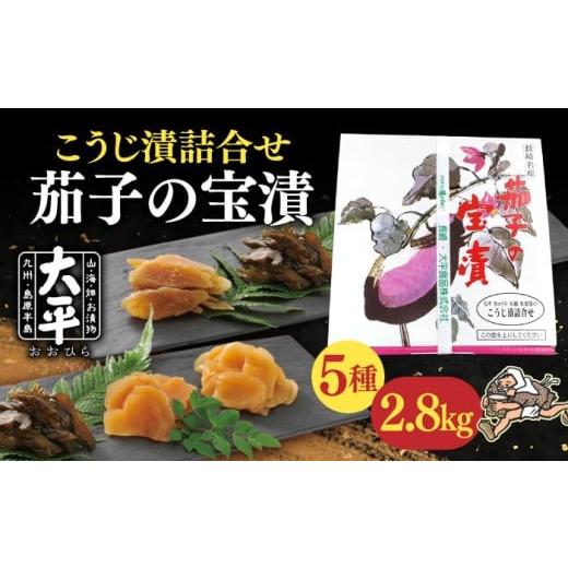 ふるさと納税 加工品等 漬物 長崎県 南島原市 1月以降順次発送 茄子 の 宝漬 (こうじ漬 詰合) / 漬物 つけもの ツケモノ なす こうじ きゅうり 大根 生姜 …