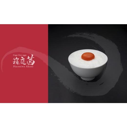 ふるさと納税 卵(鶏、烏骨鶏等) 栃木県 真岡市 定期便12回 見た目も旨みも想像以上 箱庭たまご 「箱庭茜」 9個 ギフトボックス入り | 卵 たまご テレビ 話…