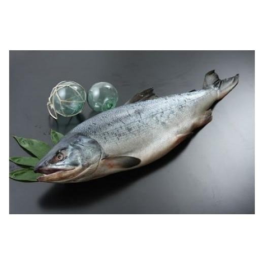ふるさと納税 魚貝類 鮭 北海道 広尾町 海産問屋カネニ 荒巻鮭1本物2.5kg(D0015)