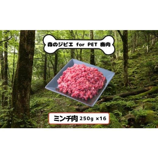 ふるさと納税 鹿肉 岡山県 西粟倉村 C 森のジビエ for PET 鹿肉 ミンチ肉 4kg A-JK-A22A ミンチ肉×16