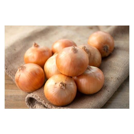 ふるさと納税 野菜類 玉ねぎ 北海道 美幌町 数量限定訳あり品 玉ねぎSサイズ・10kg(2025年12月上旬から順次発送) ふるさと納税 人気 おすすめ ランキング …