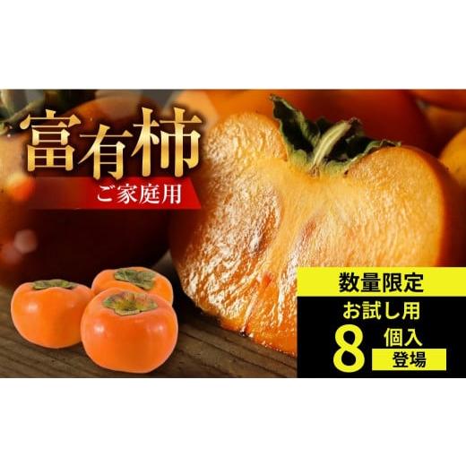ふるさと納税 果物類 柿 岐阜県 本巣市 先行予約/令和8年産 [ 訳あり ] 富有柿 ご家庭用 お試し8個入 S-Mサイズ 福井農園 11月〜12月に発送予定 |富有柿 …