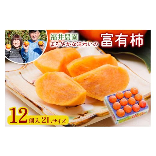 ふるさと納税 果物類 柿 岐阜県 本巣市 先行予約/令和8年産/2026年11月〜発送 [柿の王様]福井農園の富有柿 2Lサイズ (12個入) mt1235 令和8年産